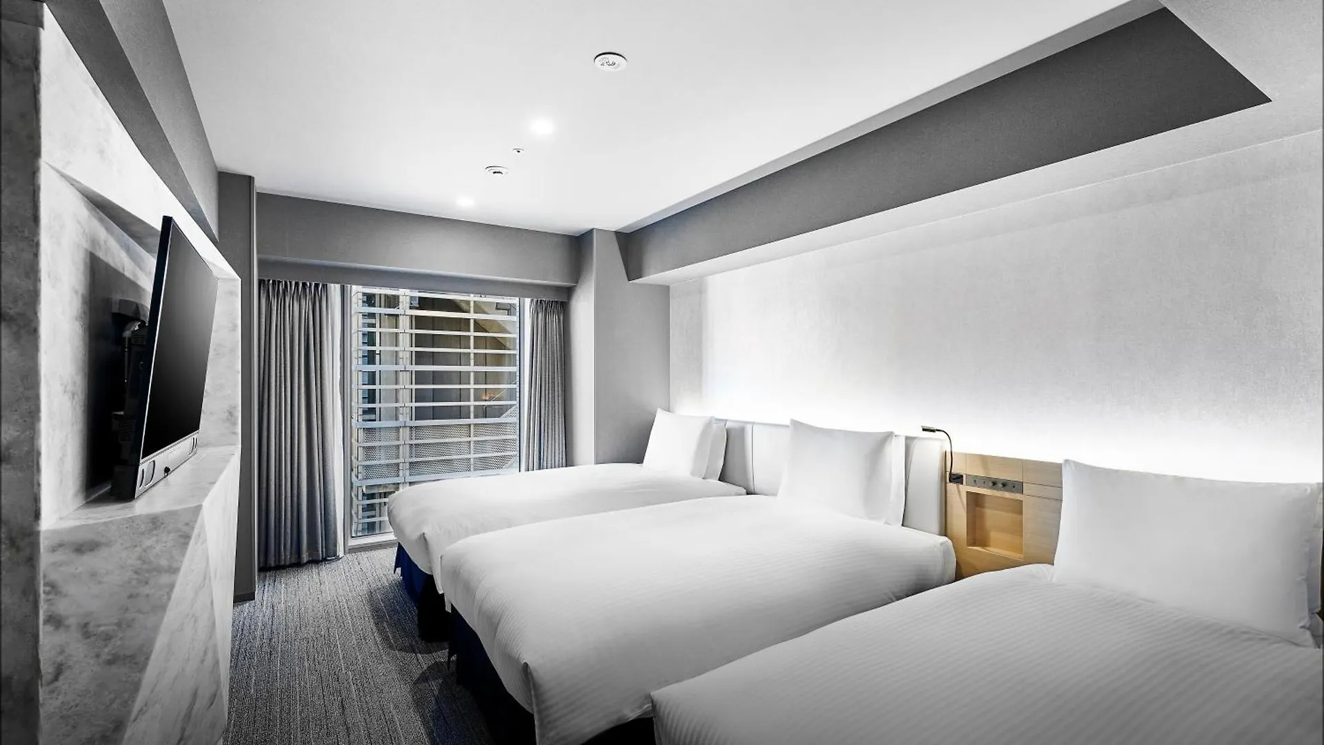טוקיו Daiwa Roynet Hotel Nishi-Shinjuku Premier 4*,  יפן